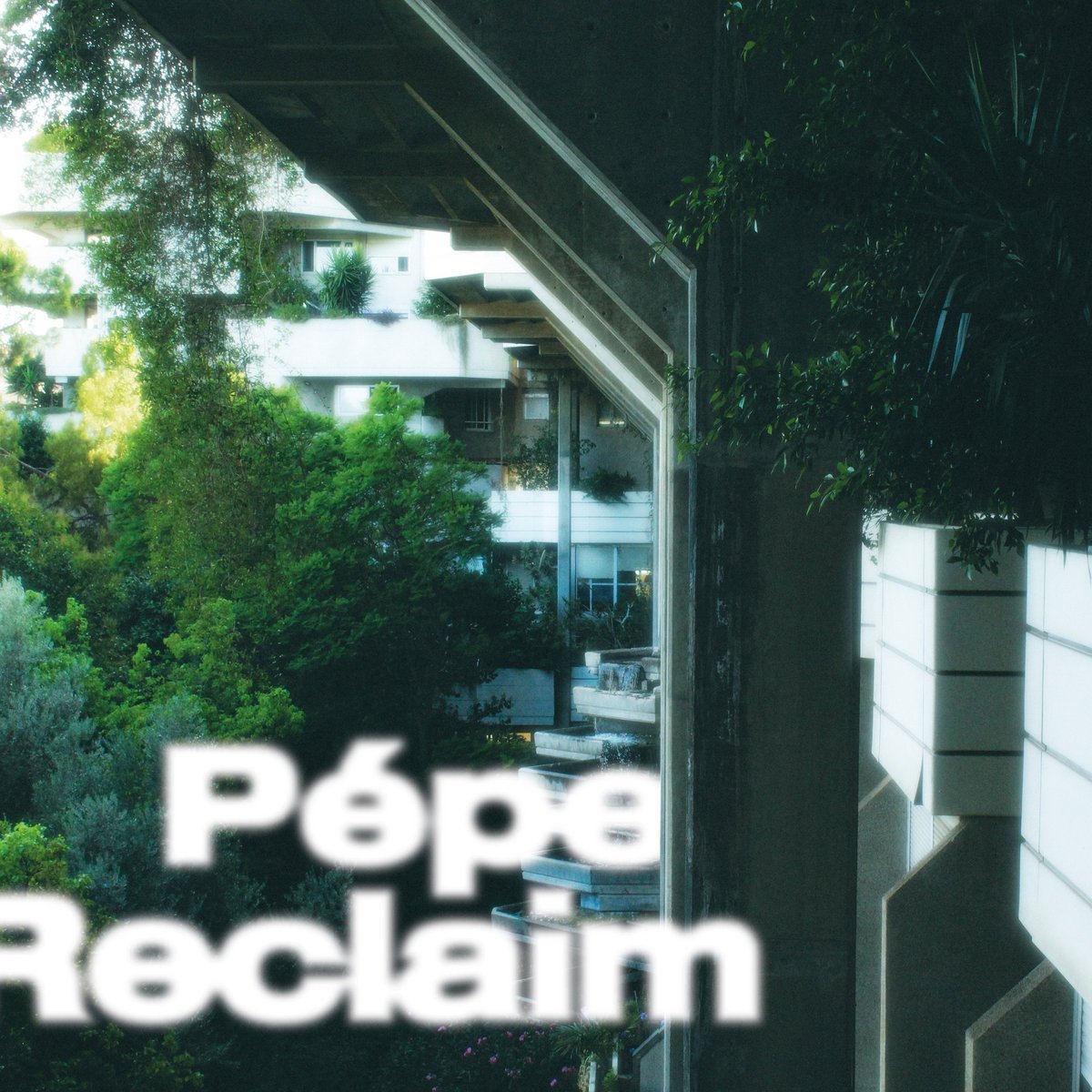 P pe Reclaim Lapsus Records p-pe-reclaim-lapsus-records